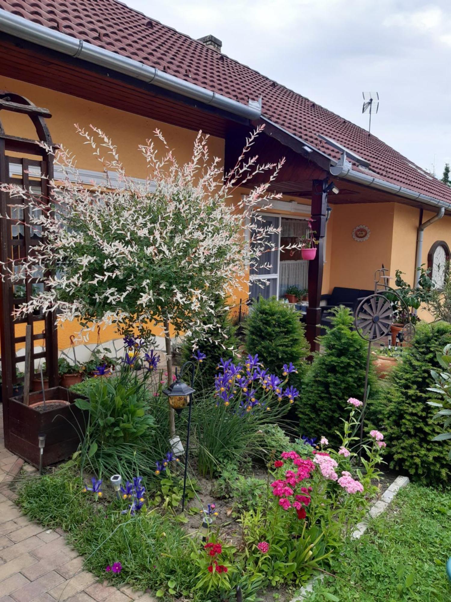 Ferienwohnung Andrea Vendeghaz Kehidakustány Exterior foto